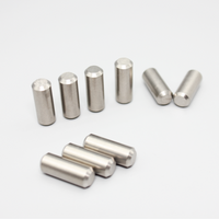 Tungsten alloy product suppliers Tungsten Buffer Weight